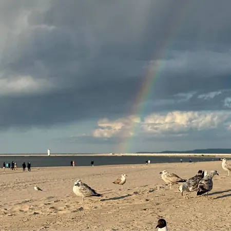 Sienkiewicza - Visitopl *