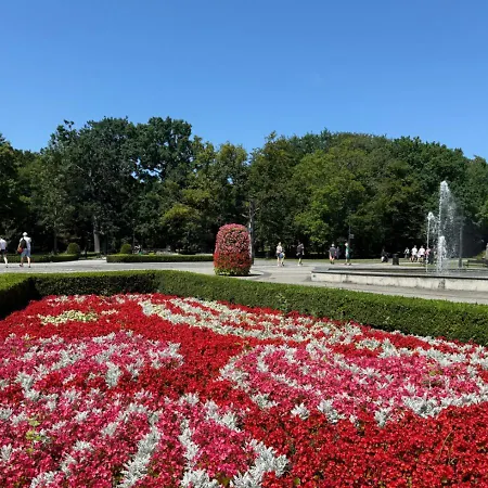 Sienkiewicza - Visitopl